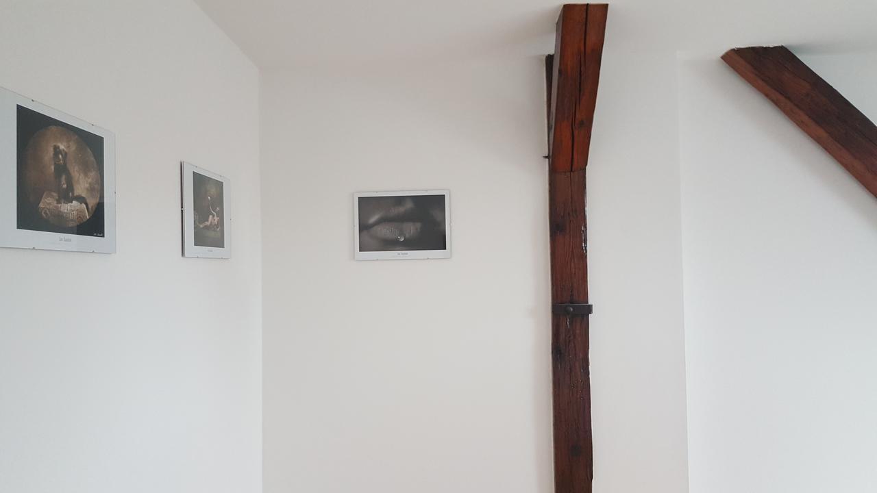 Apartmany Za Sakurou Hodonín Extérieur photo