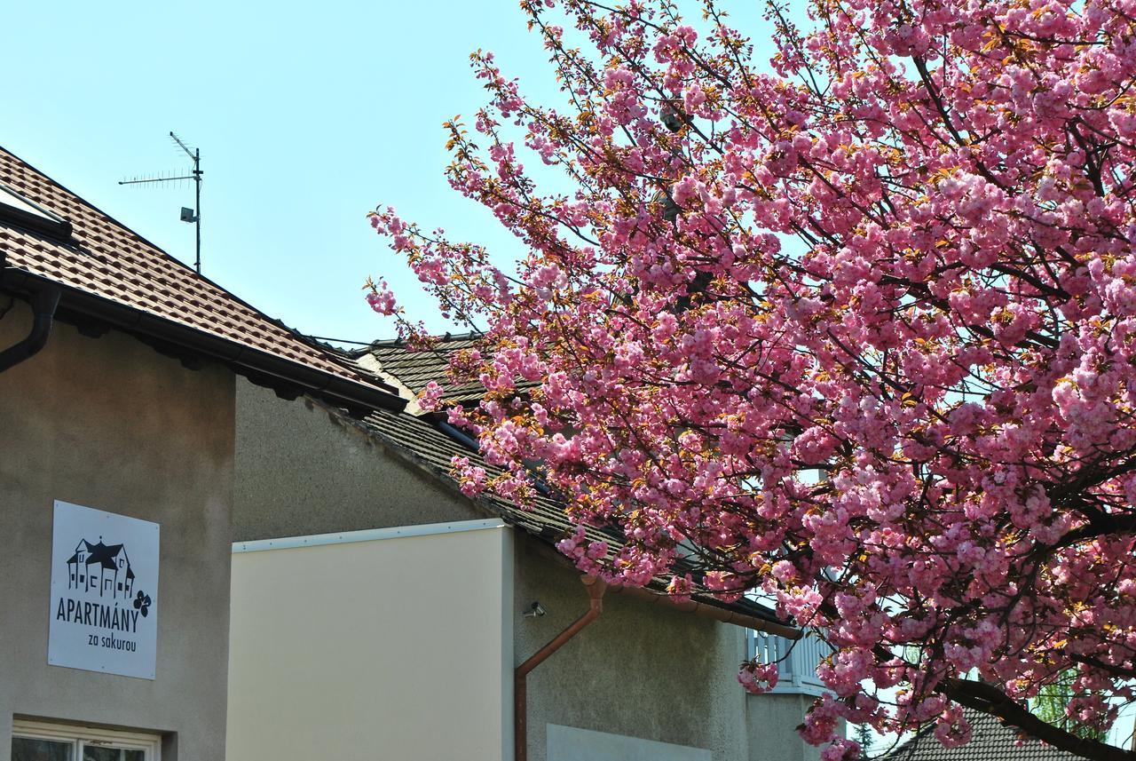 Apartmany Za Sakurou Hodonín Extérieur photo